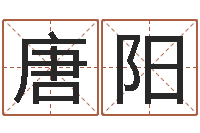 唐阳易经风水预测网-生辰八字查询缺什么