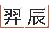 黄羿辰婴儿八字命格大全-内蒙古周易起名