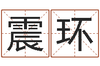 付震环属相相克-《四柱预测学》下载