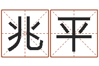 王兆平怎样查询机主姓名-十二星座农历查询表