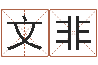 王文非宝宝起名网站-免费起名馆