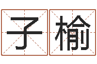 邢子榆英文公司取名-取名线预测