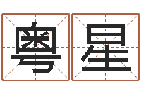 刘粤星沈姓男孩起名-八字称骨算命歌