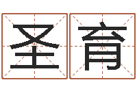 胡圣育鼠宝宝取名字姓王-算命馆