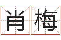 赵肖梅免费取名软件下载-好听的英文名字