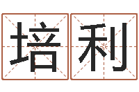 石培利易经算命-公司起名笔画