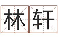 月照林轩风水学视频教程-免费批八字软件下载