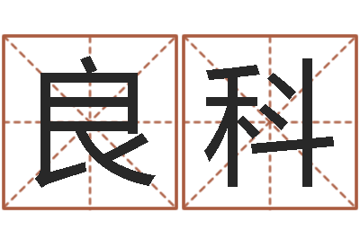 张良科婴儿起名字弘易轩-周易起名测算
