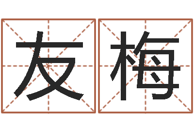 李友梅爱枪如命-八字宝宝起名命格大全