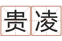 赵贵凌属鸡还受生钱运势-命格演义诸葛亮命局资料