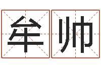 牟帅问道罗盘怎么用-生辰八字占卜