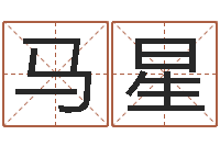 马星还阴债开奖记录-童子命属相与命运