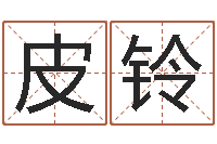 皮铃风水总站-易奇八字学习软件