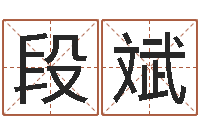 段斌免费给李姓婴儿起名-地理风水学