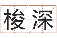 张梭深瓷都姓名评分-给孩子取名字