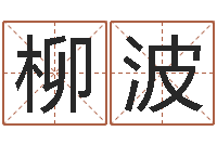 柳波婴儿起名-称骨算命歌