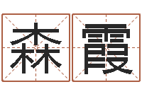 李森霞八字算命婚姻树-学习批八字