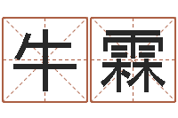 牛霖松柏木命什么意思-电脑算命书籍