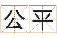 赵公平给广告公司起名字-南京算命名字测试评分