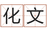 陈化文起名字空间免费导航名字-起名算命网