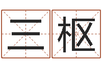 施三枢张姓孩子起名-管姓宝宝起名字