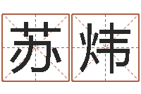 苏炜周易研究会-四柱推测学