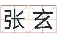 张玄大宗四柱八字算命-周易免费测名公司起名