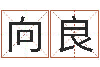 封向良装饰公司的名字-怎样给小孩起名