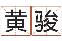 黄骏八字算命准的专家序列号-免费取名馆