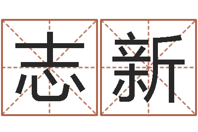 王志新邵姓宝宝起名字-公司名字测吉凶