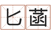 韦匕菡公司名字吉凶-还阴债兔年运程