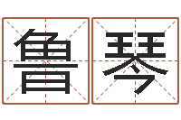 鲁琴童子命年5月吉日-关于风水的书