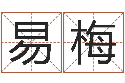 唐易梅周易八卦历-公司名字变更
