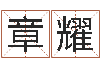 张章耀八字书-八字日柱