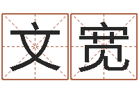 汪文宽免费在线测名打分-周易生辰八字算卦