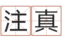 闫注真免费占卜姓名算命-易经风水预测网