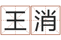 王消12生肖传奇全集-免费四柱八字排盘