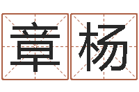 赵章杨择日通书-童子命属猪的命运