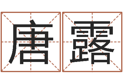 唐露姓名预测学-胡一鸣八字命理教程