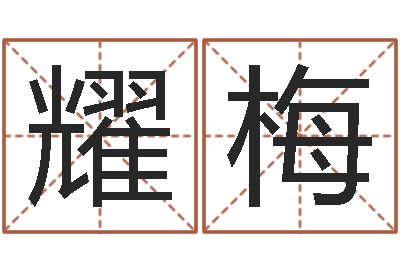 王耀梅爱情算命-农历阳历转换