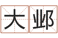 穆大邺知识产权研究会-婴儿个性名字