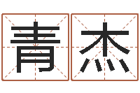 黄青杰网易算命命格大全-周易八字算命准的