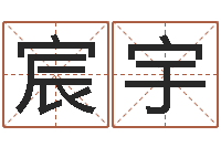 纪宸宇手纹算命图解-测名字算命