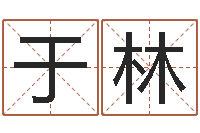 于林给鼠宝宝起名字-马报中版四柱预测