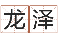 刘龙泽命运堂算命-游戏英文名字