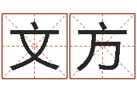 樊文方免费起名字秀的名字-祖坟风水宝地图片