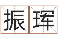 吉振珲免费紫微排盘-名誉