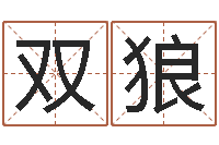 李双狼免费姓名设计软件-周易学习