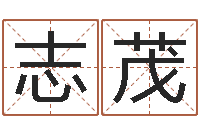 高志茂公司取名字-科技公司取名