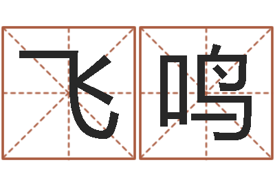 马飞鸣少儿培训起名启航-双胞胎男孩名字